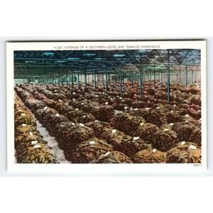 Vintage Linen Tobacco Warehouse Interior Postcard Asheville NC 1930s